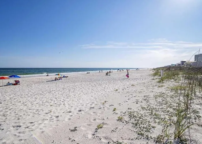 Sandy Feat North & South Gulf Shores